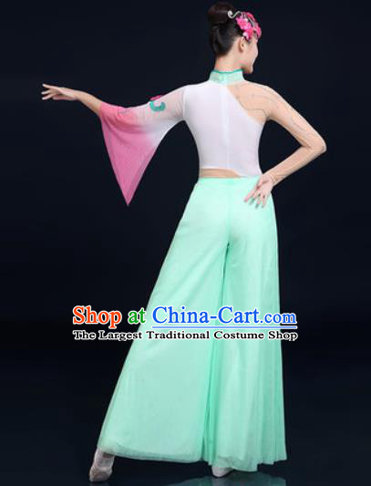Traditional Chinese Folk Dance Green Veil Clothing Yangko Dance Fan Dance Costume for Women