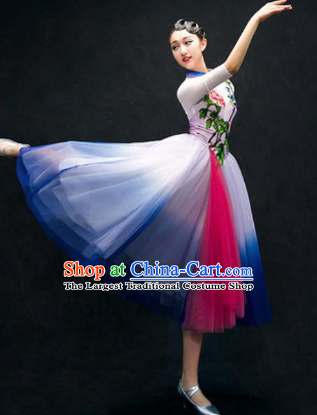 Chinese Classical Dance Costume Traditional Modern Dance Royalblue Veil Dress for Women