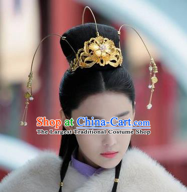 Chinese Handmade Hanfu Tassel Phoenix Coronet Tang Dynasty Hairpins Traditional Ancient Imperial Consort Hair Accessories for Women