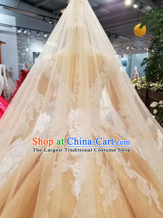 Top Grade Customize Catwalks Embroidered Champagne Full Dress Court Princess Waltz Dance Costume for Women