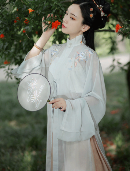 Traditional Chinese Ming Dynasty Rich Lady Hanfu Dress Ancient Embroidered Historical Costume for Women
