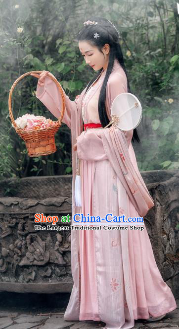 Traditional Chinese Ancient Young Lady Embroidered Historical Costume Song Dynasty Village Girl Hanfu Dress for Women