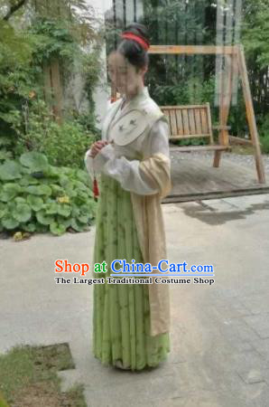 Chinese Song Dynasty Aristocratic Lady Replica Costume Traditional Ancient Court Hanfu Dress for Women