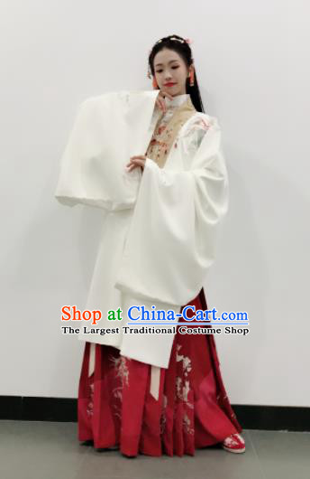 Traditional Chinese Ming Dynasty Palace Princess Embroidered Hanfu Dress Ancient Court Replica Costumes for Women