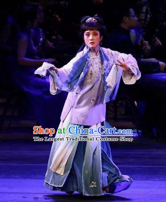Traditional Chinese Classical Dance Ju Zi Hong Le Costume Drama Stage Show Beautiful Dance Dress for Women