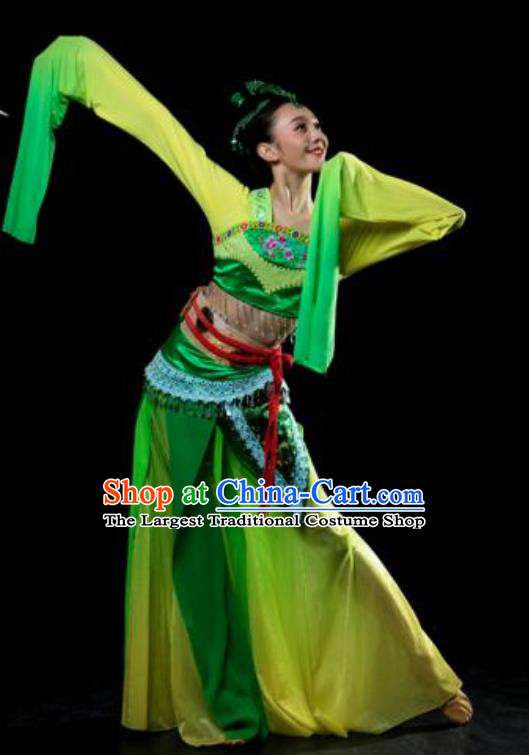 Traditional Chinese Classical Dance Lv Dai Dang Feng Green Water Sleeve Costume Stage Show Beautiful Dance Dress for Women