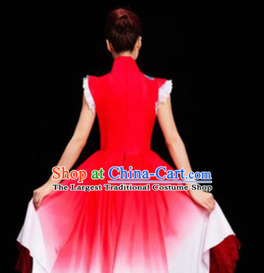 Chinese National Folk Dance Dress Traditional Classical Dance Costume for Women
