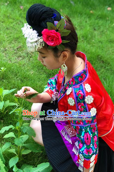 Chinese Traditional Miao Nationality Costume Ethnic Folk Dance Dress for Women