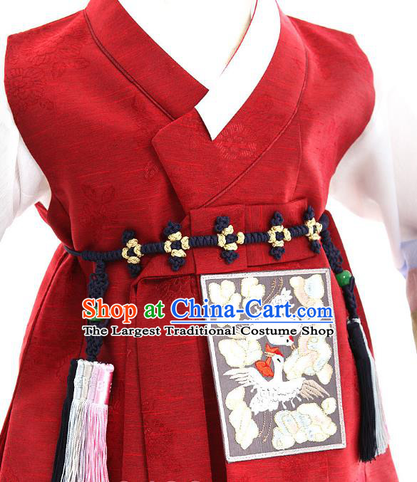 Asian Korea Traditional Embroidered Wine Red Shirt and Pants Children Birthday Fashion Korean Apparels Hanbok Costumes for Kids