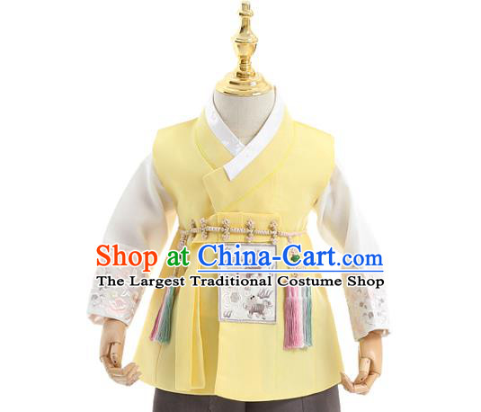 Asian Korea Traditional Embroidered Yellow Shirt and Pants Children Birthday Fashion Korean Apparels Boys Hanbok Costumes for Kids