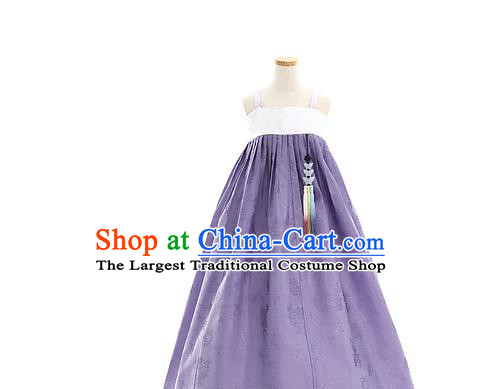 Korean Bride Mother Hanbok Wine Red Blouse and Purple Dress Korea Fashion Costumes Traditional Festival Apparels for Women