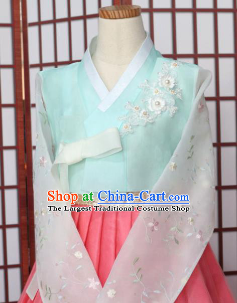 Korean Traditional Hanbok Light Blue Blouse and Pink Dress Outfits Asian Korea Wedding Fashion Costume for Women