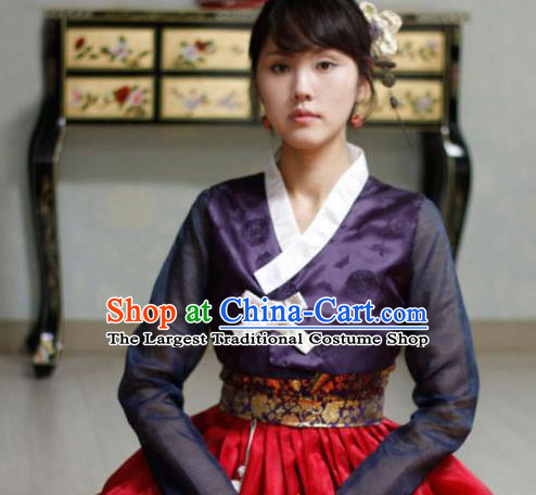 Korean Traditional Court Hanbok Garment Purple Blouse and Red Dress Asian Korea Fashion Costume for Women