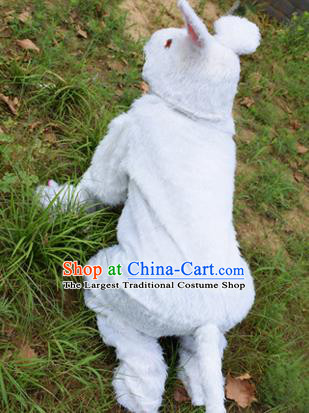 Cosplay Zodiac Rabbit Traditional Chinese New Year Stage Performance Costume Complete Set