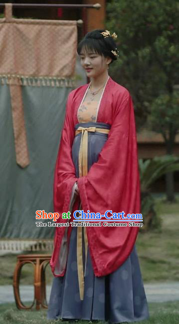 Chinese Ancient Song Dynasty Garment Historical Costumes and Headpieces Drama Serenade of Peaceful Joy Princess Zhao Huirou Dress