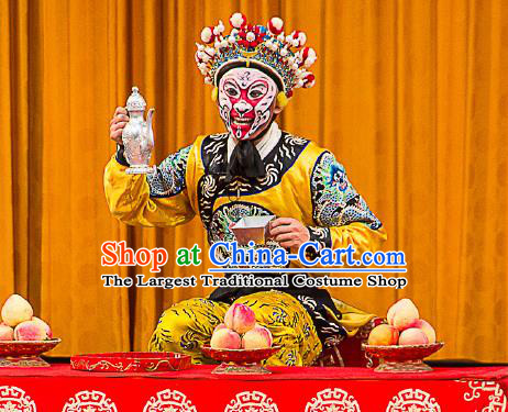 Chinese Peking Opera Takefu Sun Wukong Costumes Garment Havoc In Heaven Wusheng Monkey King Apparels and Headwear