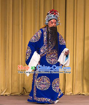 Chinese Beijing Opera Elderly Men Embroidered Robe Garment Peking Opera Judge Bao and the Qin Xianglian Case Apparels Costumes and Hat