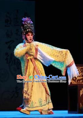 Traditional Chinese Peking Opera Empress Apparels Garment The Revenge of Prince Zi Dan Hua Tan Queen Dress Costumes and Headdress