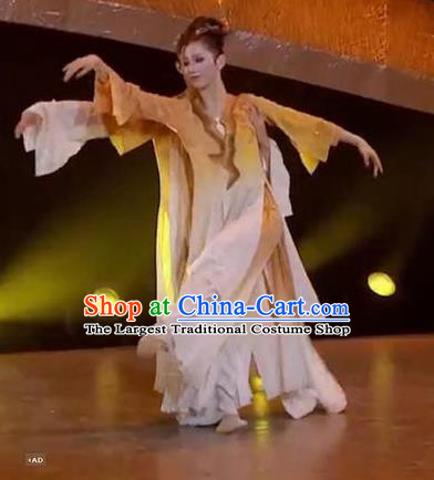 Chinese Zhi Qiu Classical Dance Dress Traditional Dance Stage Performance Costume for Women