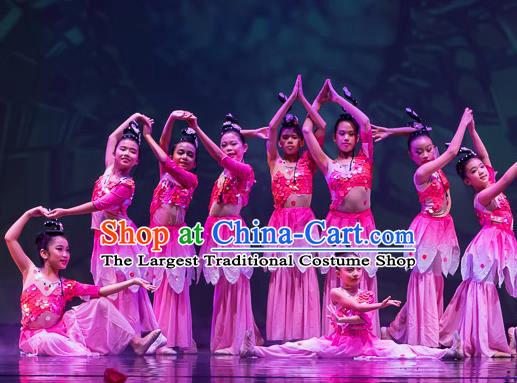 Chinese Ji Yue Tian Dance Pink Dress Traditional Classical Dance Stage Performance Costume for Women