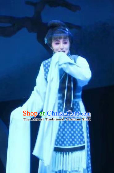 Chinese Shaoxing Opera Country Woman Garment Dress Costumes and Headpieces Li Hua Qing Yue Opera Young Female Apparels