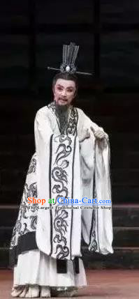 Chinese Yue Opera Official Garment Costumes and Headwear Qu Yuan Shaoxing Opera Male Role Apparels