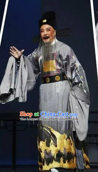 Chinese Yue Opera Old Man Official Garment and Hat Shaoxing Opera Laosheng Qing Teng Kuang Ge Elderly Male Hu Zongxian Apparels Costumes