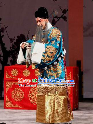 Chinese Beijing Opera Elderly Male Apparels Zhu Lian Zhai Peking Opera Garment Costumes Official Python Embroidered Robe and Hat