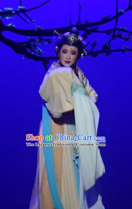Chinese Shaoxing Opera Patrician Lady Dress Shuang Fei Yi Apparels Yue Opera Hua Tan Garment Wang Yanmei Costumes and Hair Accessories