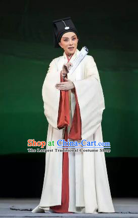 Chinese Yue Opera Scholar Wang Yangming Costumes and Headwear Shaoxing Opera Young Male Xiaosheng Garment Apparels
