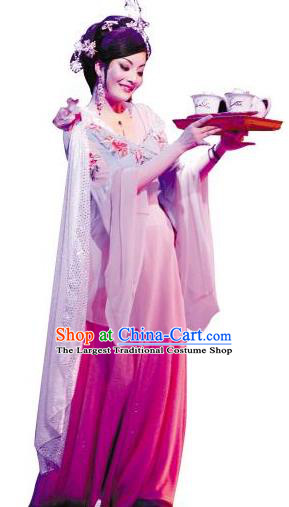 Chinese Shaoxing Opera Hua Tan Garment Costumes and Headdress Painted Skin Hua Pi Yue Young Mistress Wang Dress Apparels