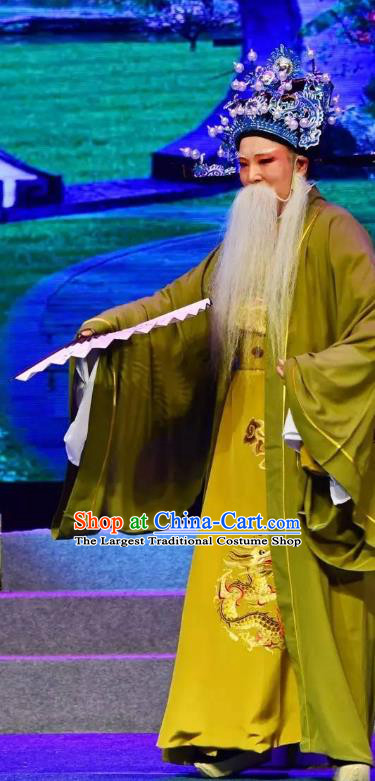 Chinese Yue Opera Elderly Man Costumes and Headwear Shaoxing Opera Tian Dao Zheng Yi Laosheng Apparels Chancellor Han Qi Official Robe Garment