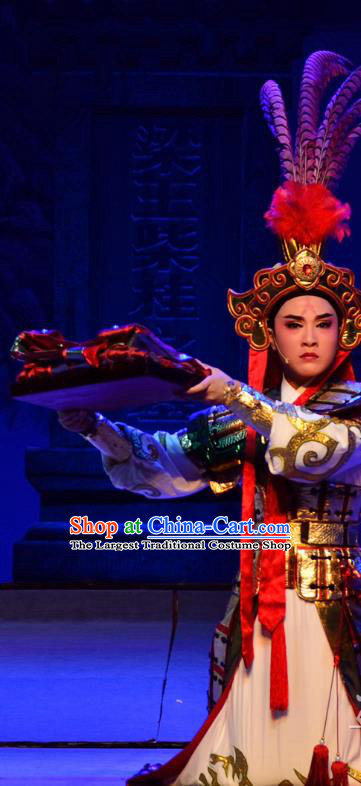Mrs Dayi Chinese Yue Opera Wusheng General Garment Costumes and Headwear Shaoxing Opera Martial Male Takefu Apparels