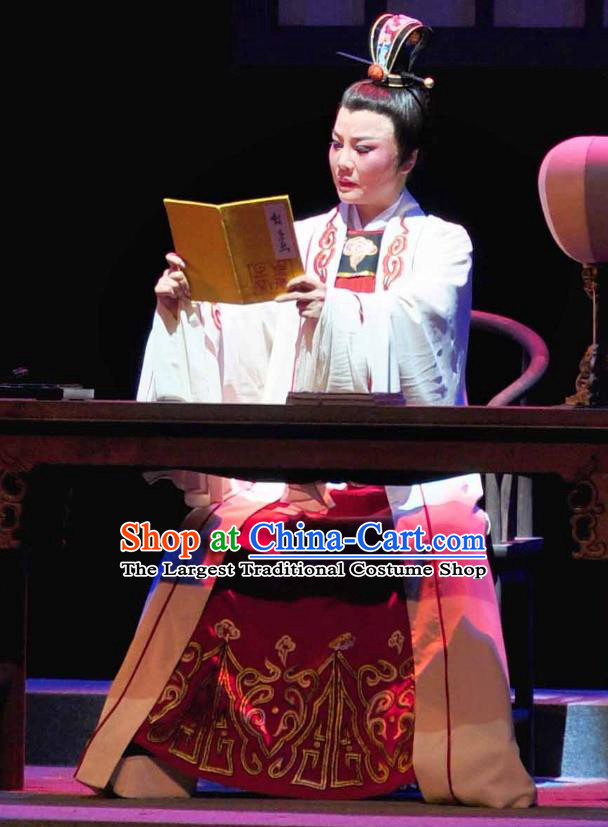 Chinese Yue Opera Xiaosheng Young Male Garment and Headwear Shaoxing Opera Scholar Zhang Lun Costumes