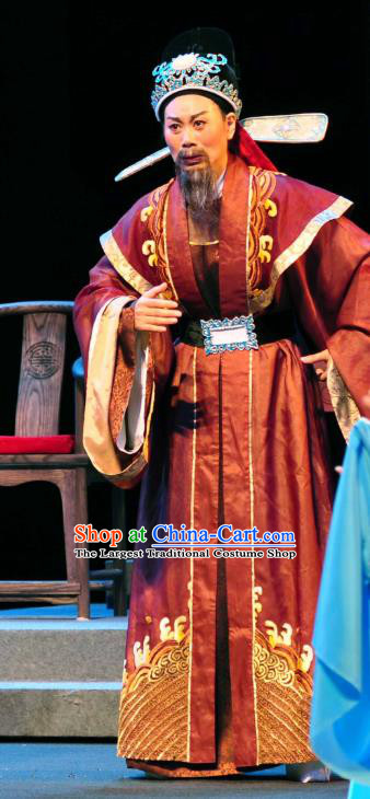 Chinese Yue Opera Ministry Councillor Garment Clothing and Headwear Shaoxing Opera Zhang Lun Elderly Male Apparels Costumes