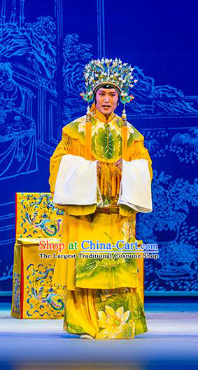 Chinese Kun Opera Noble Female Dress Costumes and Headdress Nan Ke Dream Kunqu Opera Empress Garment Apparels