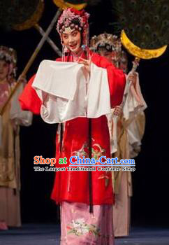 Chinese Kun Opera Young Female Dress Costumes and Headdress Nan Ke Dream Kunqu Opera Princess Yao Fang Garment Apparels