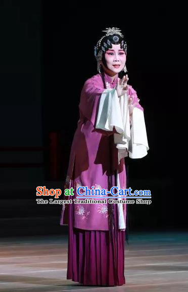 Chinese Kun Opera Female Role Rosy Dress Apparels Costumes and Headdress Bai Luo Shan Kunqu Opera Madame Su Garment
