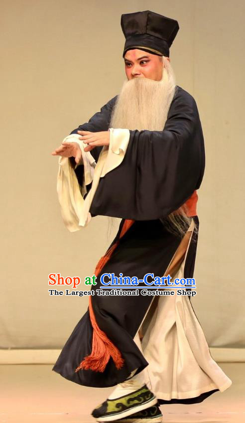 Bai Luo Shan Chinese Kun Opera Old Servant Yao Da Apparels Garment Costumes and Headwear Kunqu Opera Laosheng Clothing