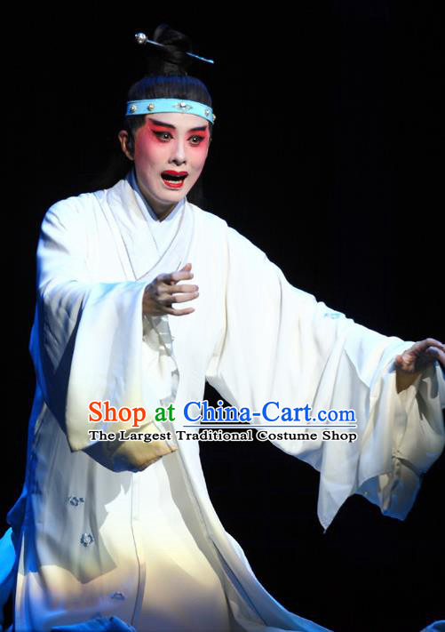 Chinese Kun Opera Young Male Niche Dream of Red Mansions Jia Baoyu Apparels Garment Costumes and Headwear Kunqu Opera Xiaosheng White Clothing