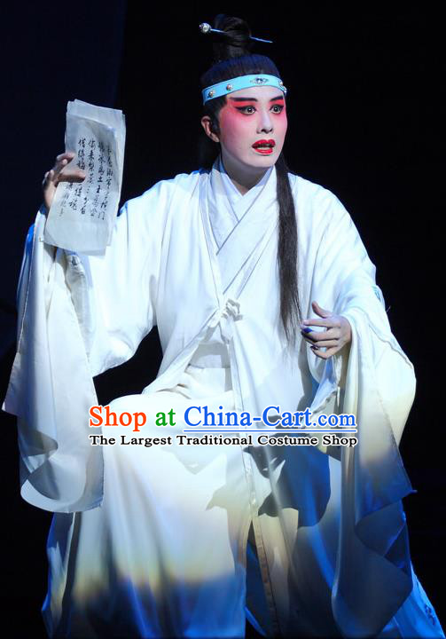 Chinese Kun Opera Young Male Niche Dream of Red Mansions Jia Baoyu Apparels Garment Costumes and Headwear Kunqu Opera Xiaosheng White Clothing