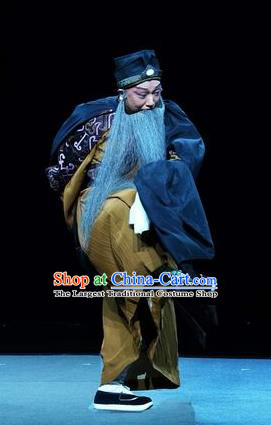 Chinese Kun Opera Elderly Man Apparels Garment Costumes and Headwear the Legend of Washing the Silk Gauze Kunqu Opera Laosheng Wei Liangfu Clothing