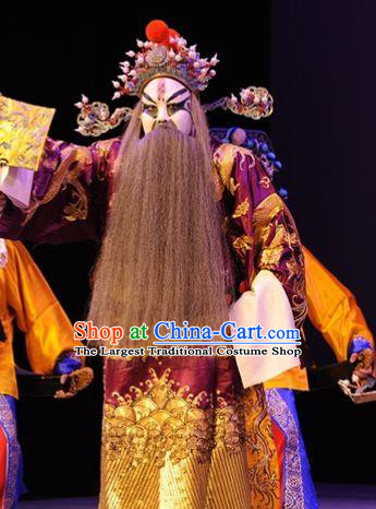The Tale of Handan Chinese Kun Opera Laosheng Apparels and Headwear Kunqu Opera Garment Costumes Prime Minister Embroidered Robe