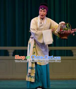 Chinese Kun Opera Elderly Female Apparels Costumes and Hair Accessories Red Pear Blossom Traditional Kunqu Opera Laodan Dress Pantaloon Garment