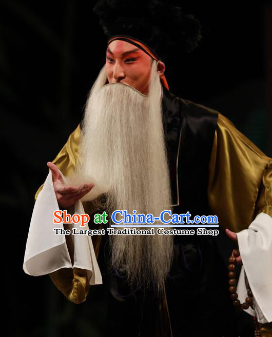 Xiu Ru Ji Chinese Kun Opera Laosheng Costumes and Headwear Kunqu Opera Elderly Male Garment Old Man Apparels