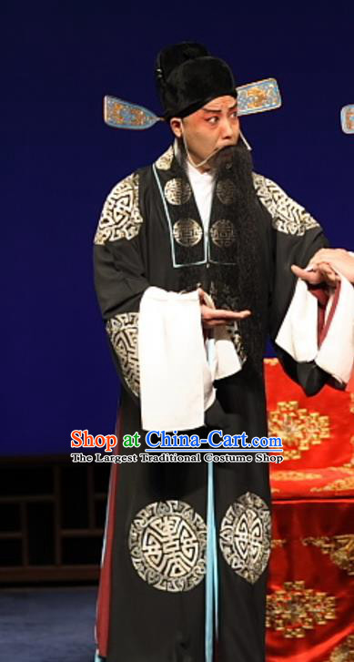 Feng Zheng Wu Chinese Kun Opera Laosheng Apparels Costumes and Headwear Kunqu Opera Elderly Male Qi Buchen Garment Clothing