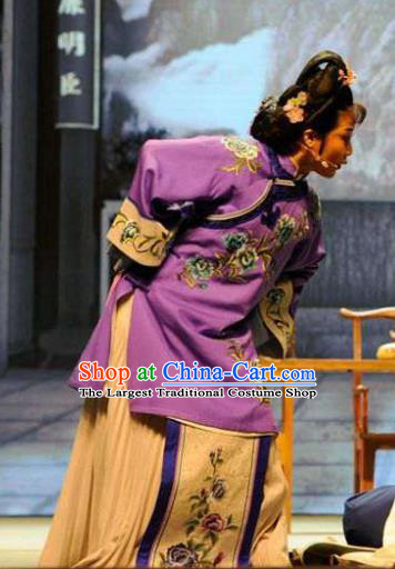 Chinese Huangmei Opera Young Female Purple Costumes Apparels and Headpieces Bu Yue Lei Chi Traditional Anhui Opera Actress Li Niang Dress Garment