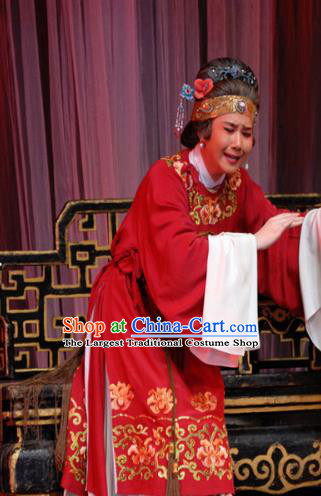 Chinese Shaoxing Opera Elderly Female Red Costumes Yu Qing Ting Apparels Yue Opera Lao Dan Garment Noble Dame Dress and Headdress
