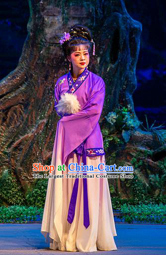 Chinese Huangmei Opera Country Woman Apparels Costumes and Headpieces Goddess Marriage Traditional Anhui Opera Young Female Dress Garment