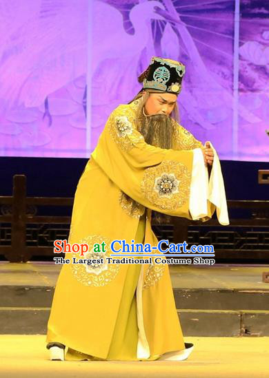 Chinese Huangmei Opera Landlord Female Consort Prince Garment Costumes and Headwear An Hui Opera Elderly Male Feng Shunqing Apparels Clothing